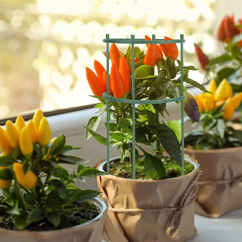 花用温室アレンジメント固定ロッドホルダーガーデンツールプラスチック植物サポートパイルスタンド植物サポートパイル