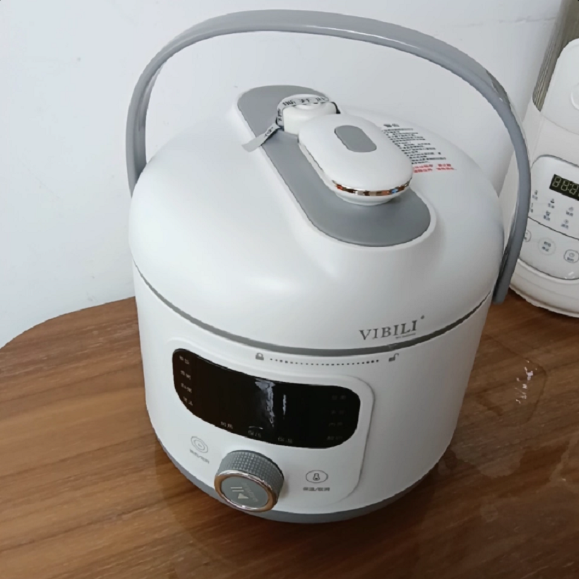 110 V/220 V 電気圧力鍋多機能家庭用米国日本カナダ輸出 DC