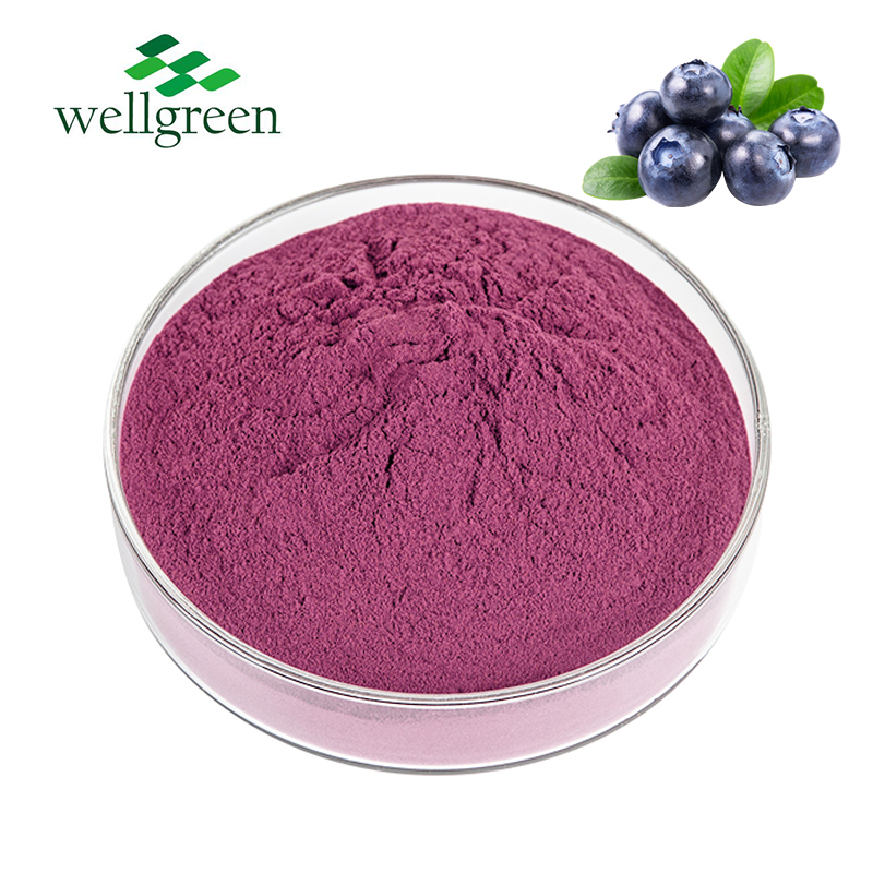 Wellgreen 食品グレードのブルーベリー フルーツ ジュース 100% 純水 Souble 有機ブルーベリー パウダー