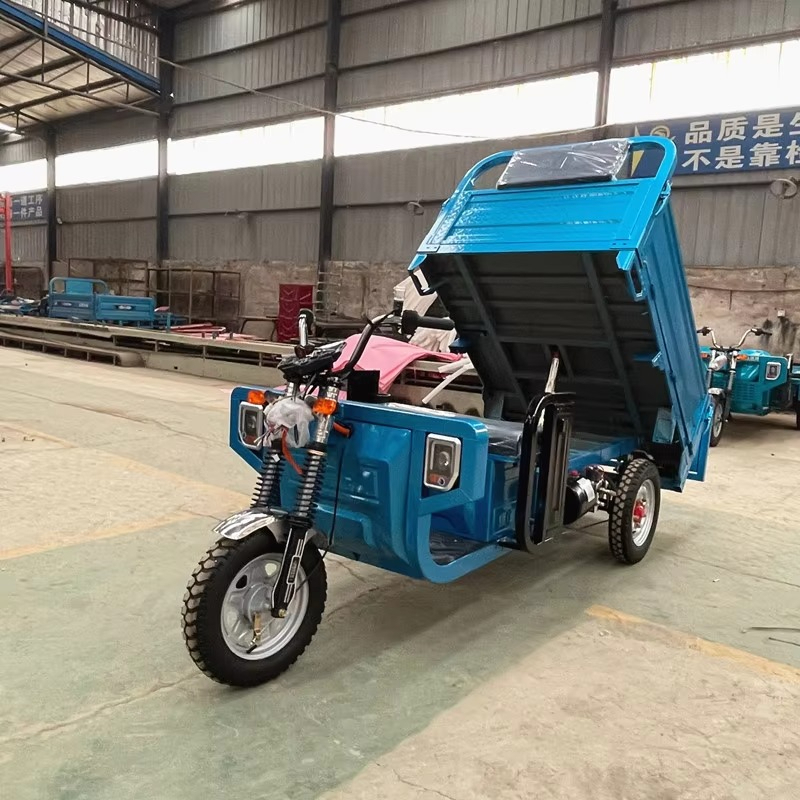 1200 ワットモーター電動貨物バン三輪車 60 V 電圧密閉ボディ電動三輪車乗客用