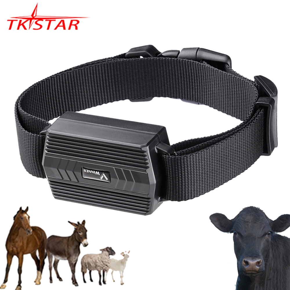 車トラッカー動物ラクダ 2 グラム GPS トラッカー牛 TK935 TKSTAR ラクダ GPS ロケーター防水 GPS トラッカー車マグネット無料 Web アプリ