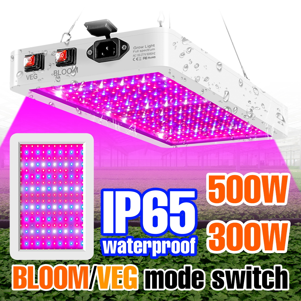 500 ワット 300 ワット LED 植物成長ライトフルスペクトル花苗屋内水耕栽培温室テント野菜栽培 IR UV ランプ