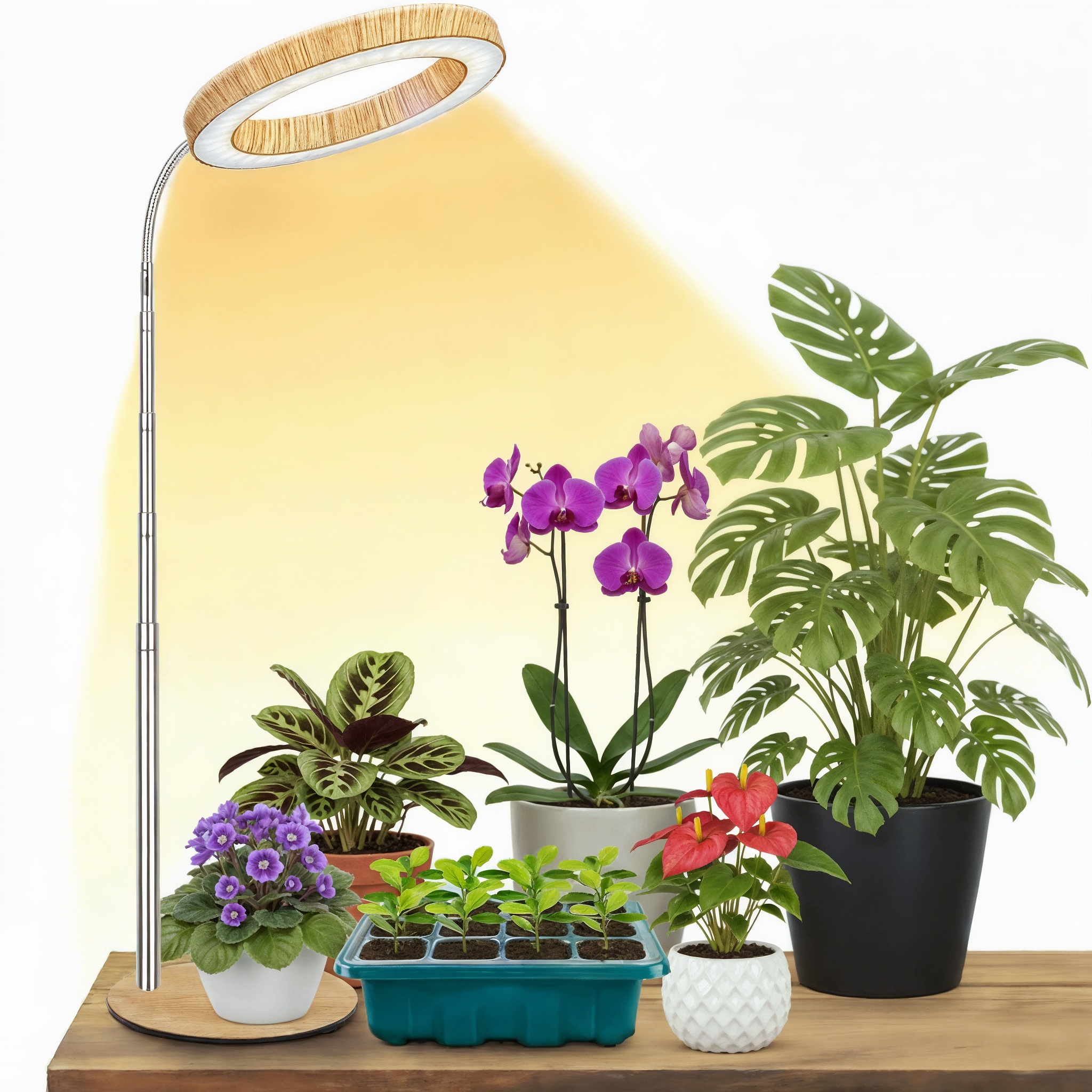 屋内植物用USB成長ライト ベース付き、3/9/12時間タイマー、3色モード、7.8インチ-39インチの高さ調節可能な木目調植物成長