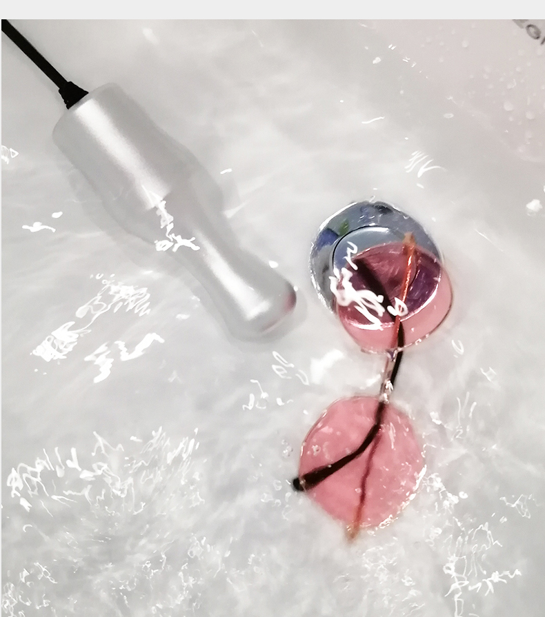 Ultrasonic cleaning machine household eyeglasses washing machine small denture cleaning jewelry watch cleaning artifact