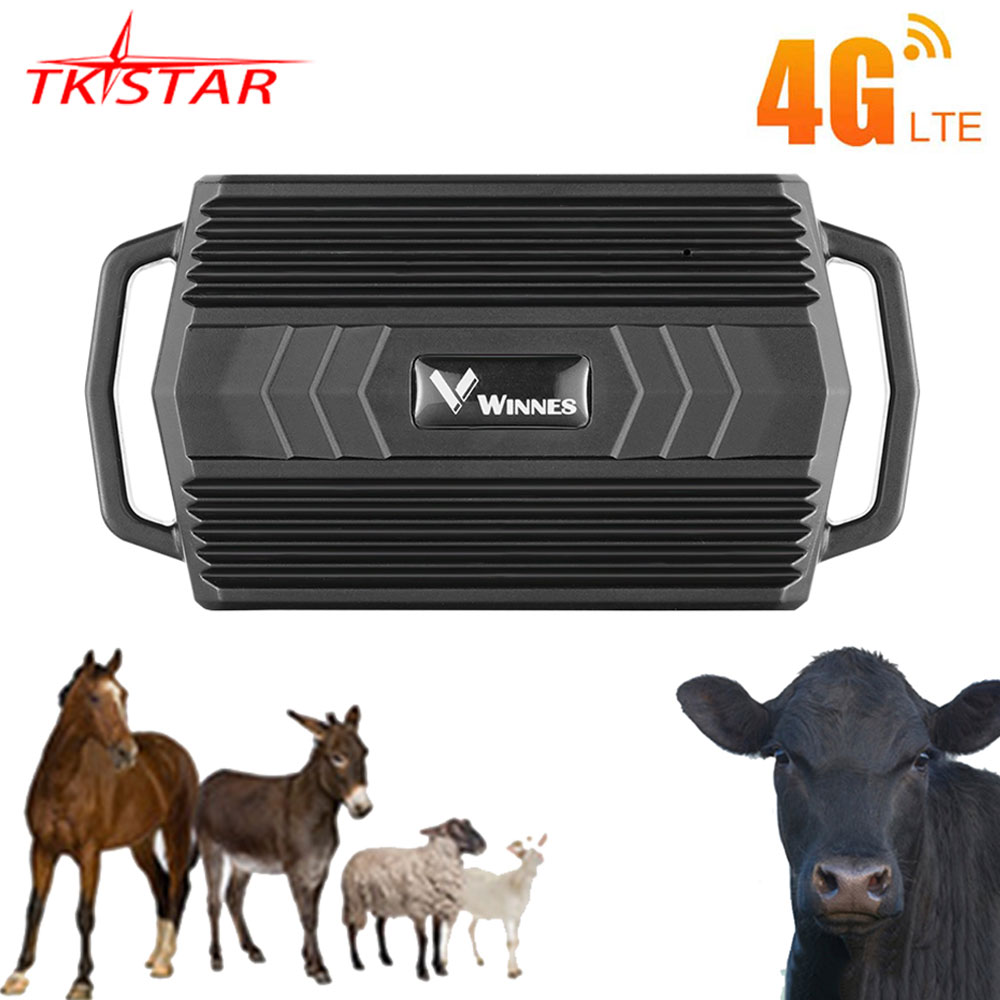 TKSTAR 4 グラム GPS トラッカー動物牛ラクダ TKSTAR 4 グラム TK935 3000 mah GPS ロケーター防水 GPS トラッカー車の無料アプリ PK TK905