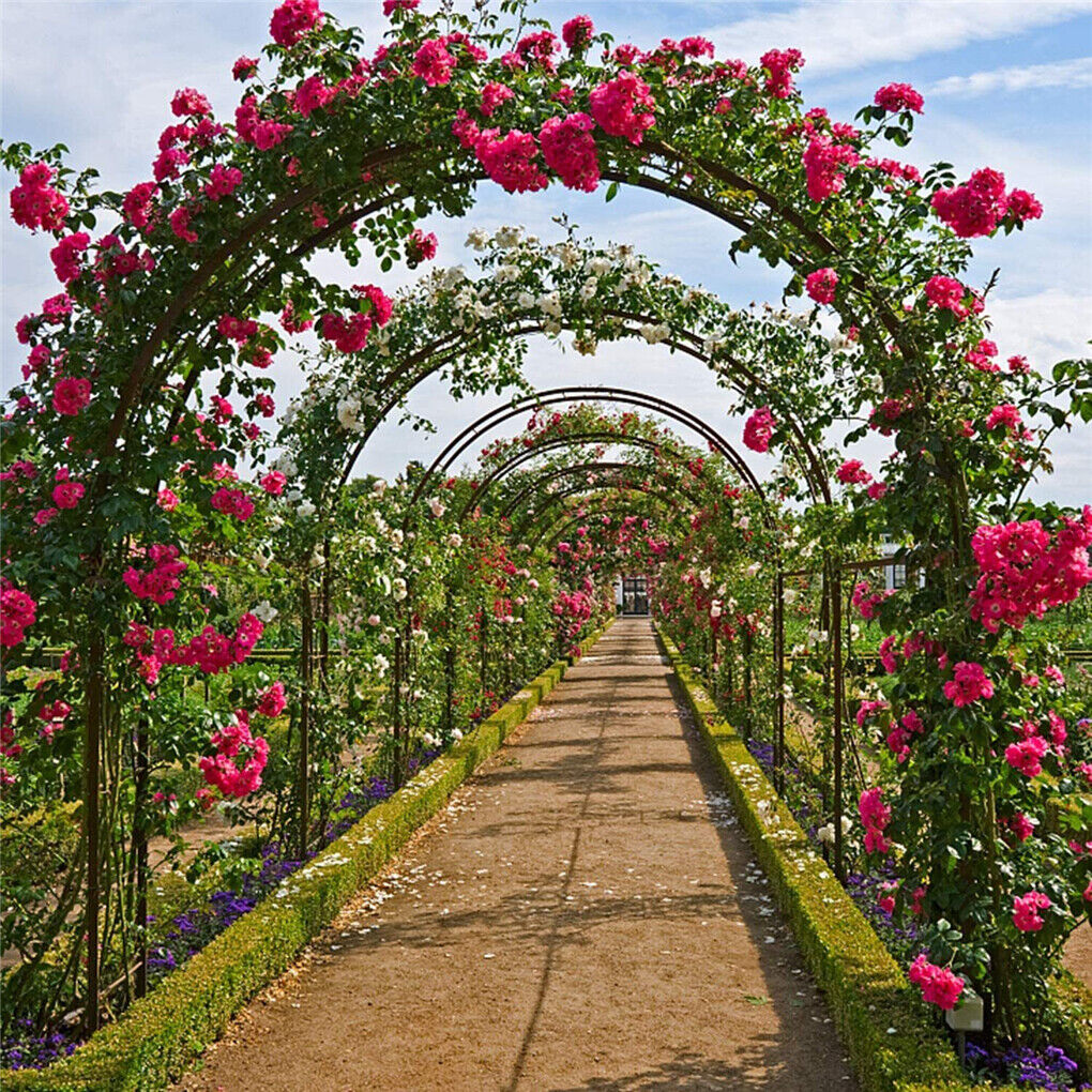 ヘビーデューティメタルガーデンアーチローズアーチウェイパーゴラアーバーつる植物トレリス屋外ガーデンパティオパーゴラサポート