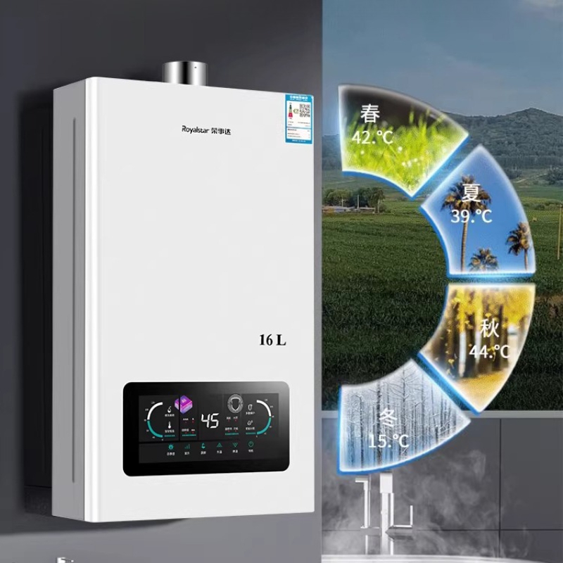 Household Gas Water Heater for Home Shower Natural Gas LPG Constant Temperature Forced Exhaust 12L 16L