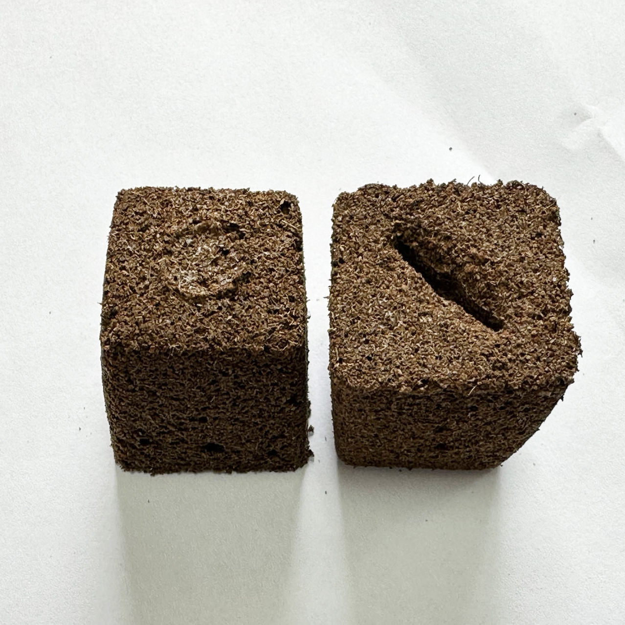 バイオ炭スポンジ無土壌多肉植物栽培基材スポンジ管理育苗ブロック
