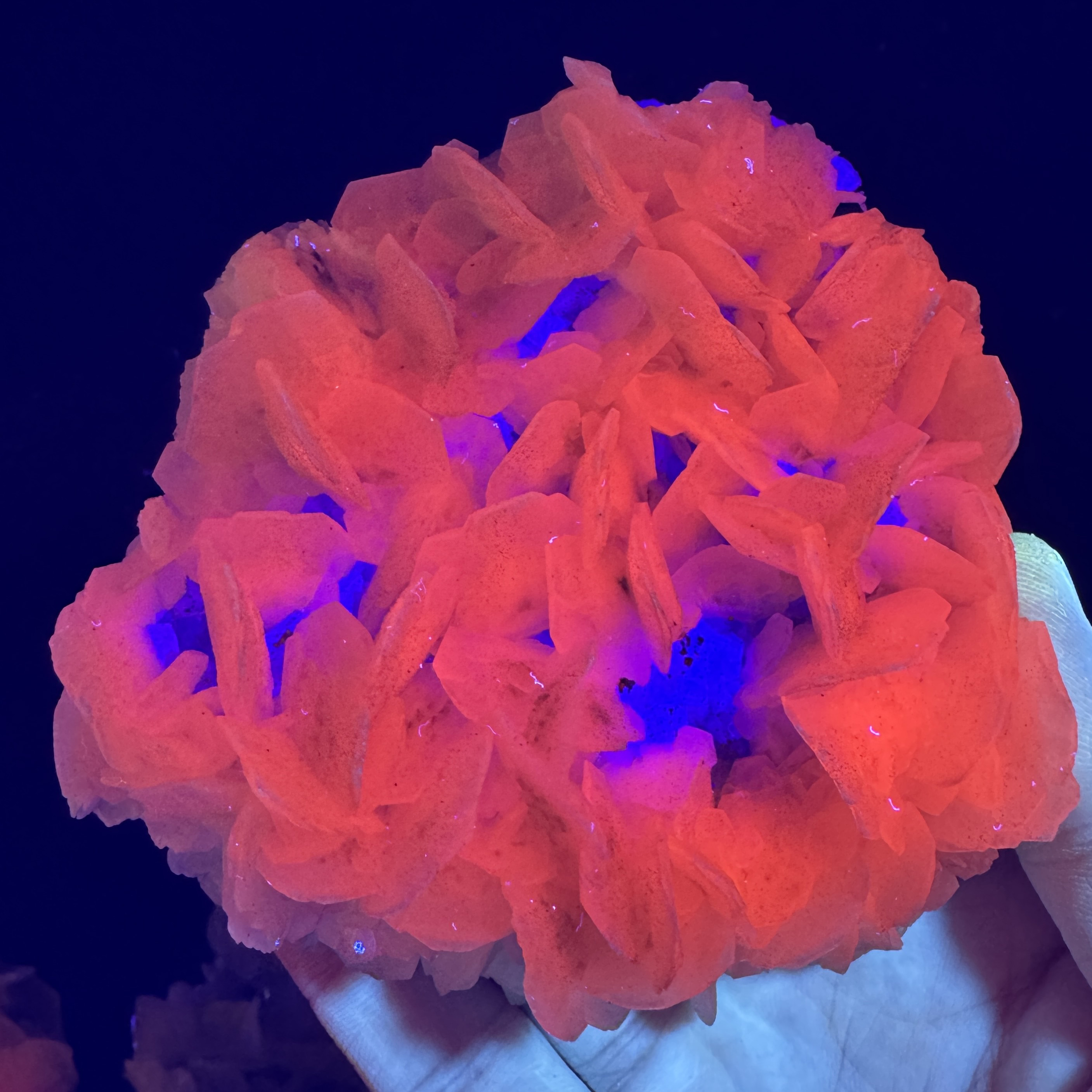 Natural Rose Flake Petal Fluorescent Effect Calcite With Pyrite Symbiont Mineral Specimen Healing Stone Home Decor ZB1-15