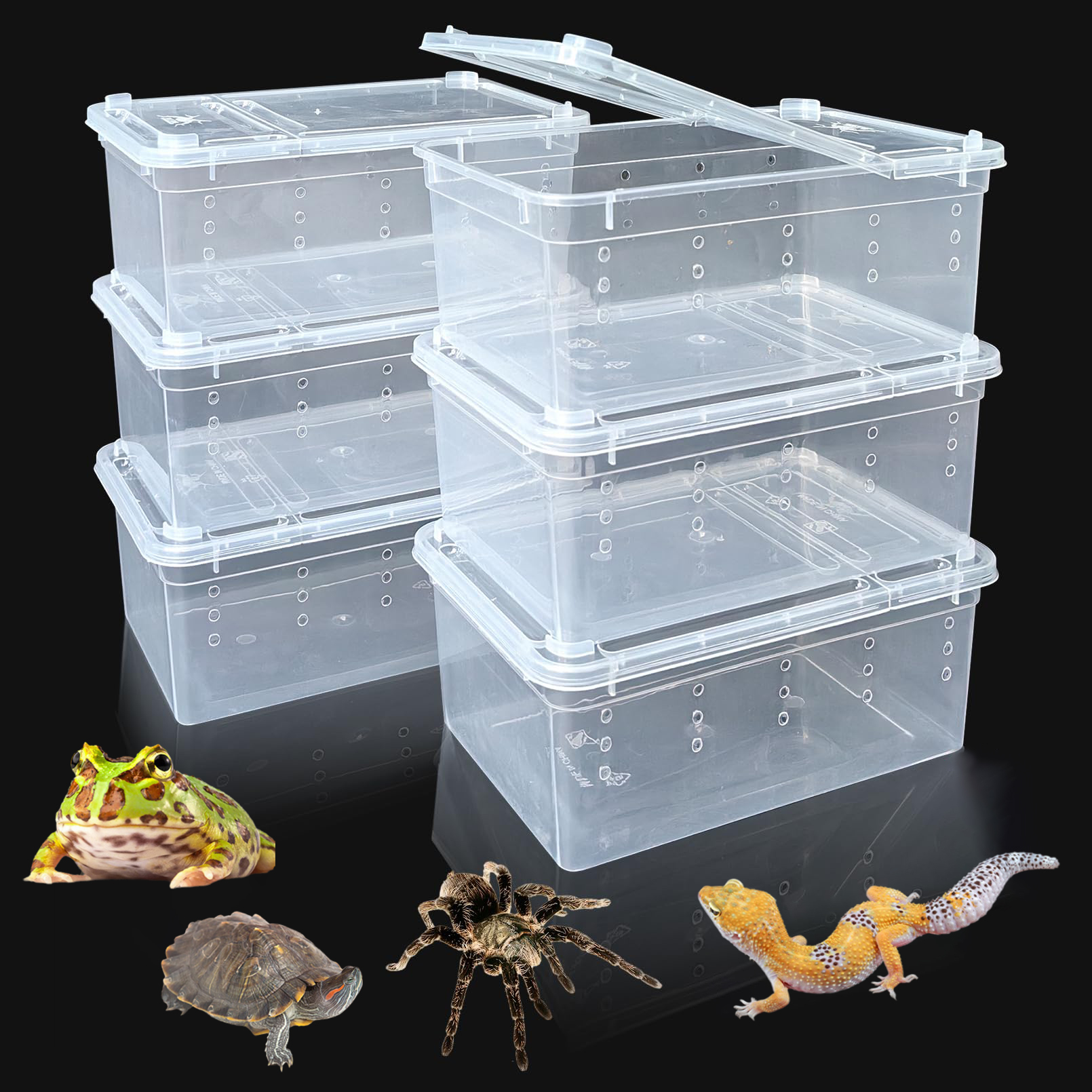 6個、爬虫類プラスチックテラリウム、トカゲ、ヤモリ、ヘビ、クモ、サソリ、カブトムシ、ムカデ用の輸送コンテナ