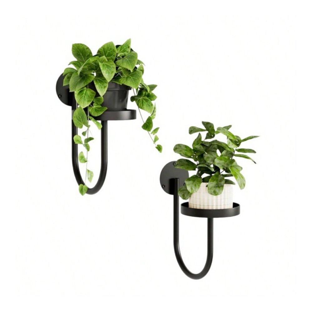 屋内植物用吊り下げプランター 壁植物ホルダー 植物ハンガー 屋内壁プランター 窓植物棚 吊り下げ植物 Holde