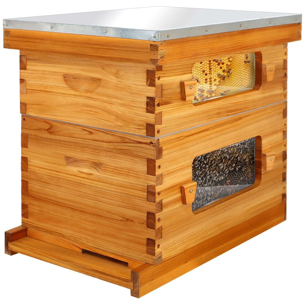 Bee Hive with Windows、8 フレーム Langstroth 完全な Beehive スターター キット、蜜蝋に浸した Beehive フレーム、カスタマイズ済み
