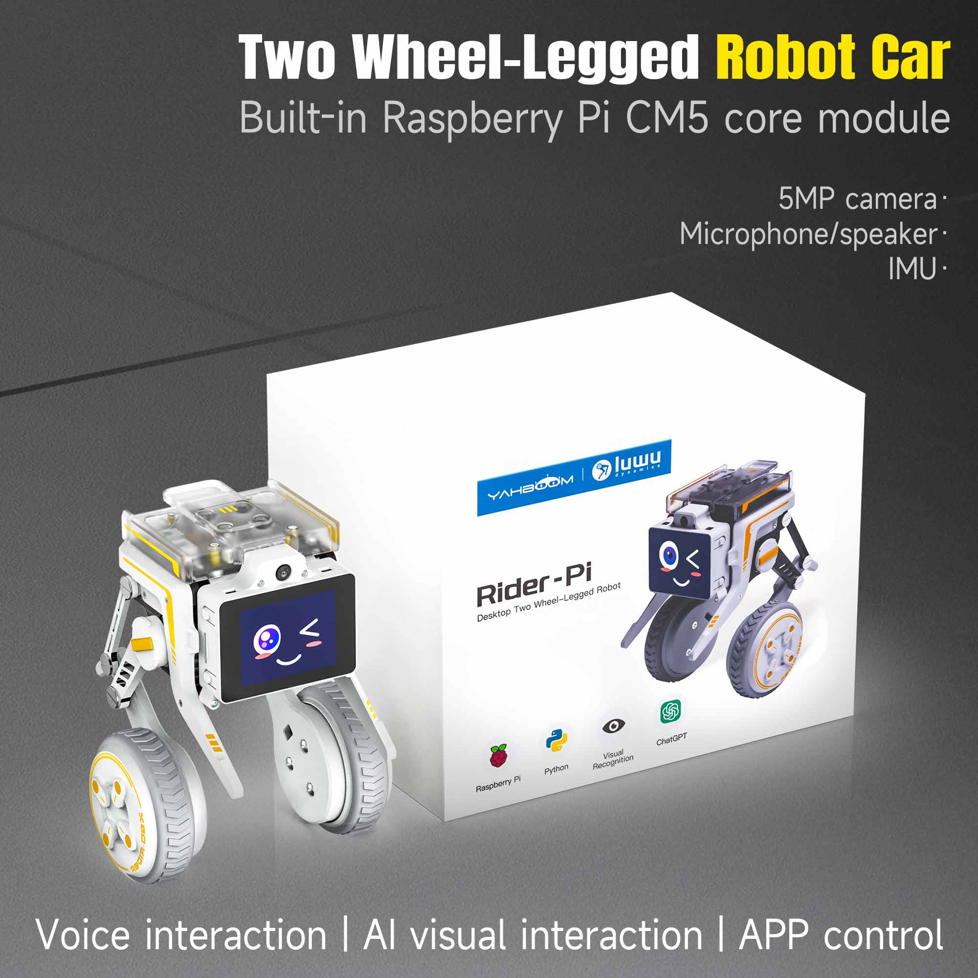 Rider-Pi AI ビジュアルロボット 二輪脚スマートカーおもちゃ IMU モジュール付き Python プログラミングサポート ChatGPT 音声インタラクション