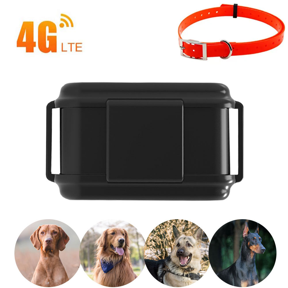 ペット GPS トラッカー 3000mAh バッテリー狩猟犬 4 グラム GPS トラッカー動物猟犬 GPRS ロケーター防水無料 Web アプリ