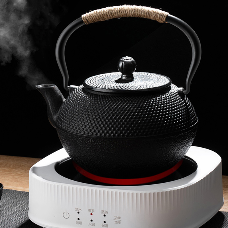 GIANXI 鉄ティーポット ステンレス鋼注入器付き 鋳造日本鉄ティーポット ウーロン茶 カンフー茶 プーアル茶 やかん