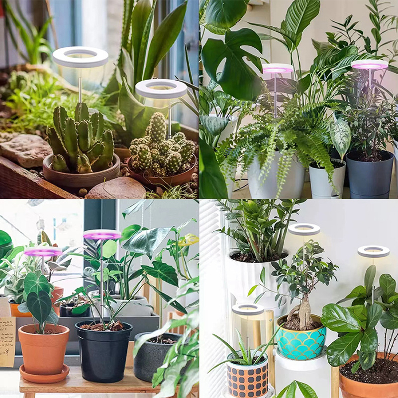 LED 成長ライト フルスペクトル植物ランプ 調整可能な調光可能な成長ランプ LED 水耕栽培ランプ タイマー付き 屋内植物ライト用