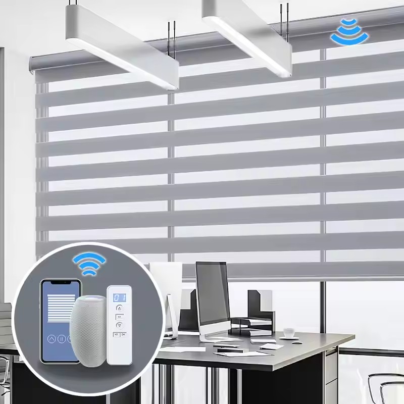 工場出荷時の価格 Wifi コントロールブラインド 100% ポリエステルダブルファブリック接続 Alexa Google Homekit モーター自動ゼブラブラインド家庭用