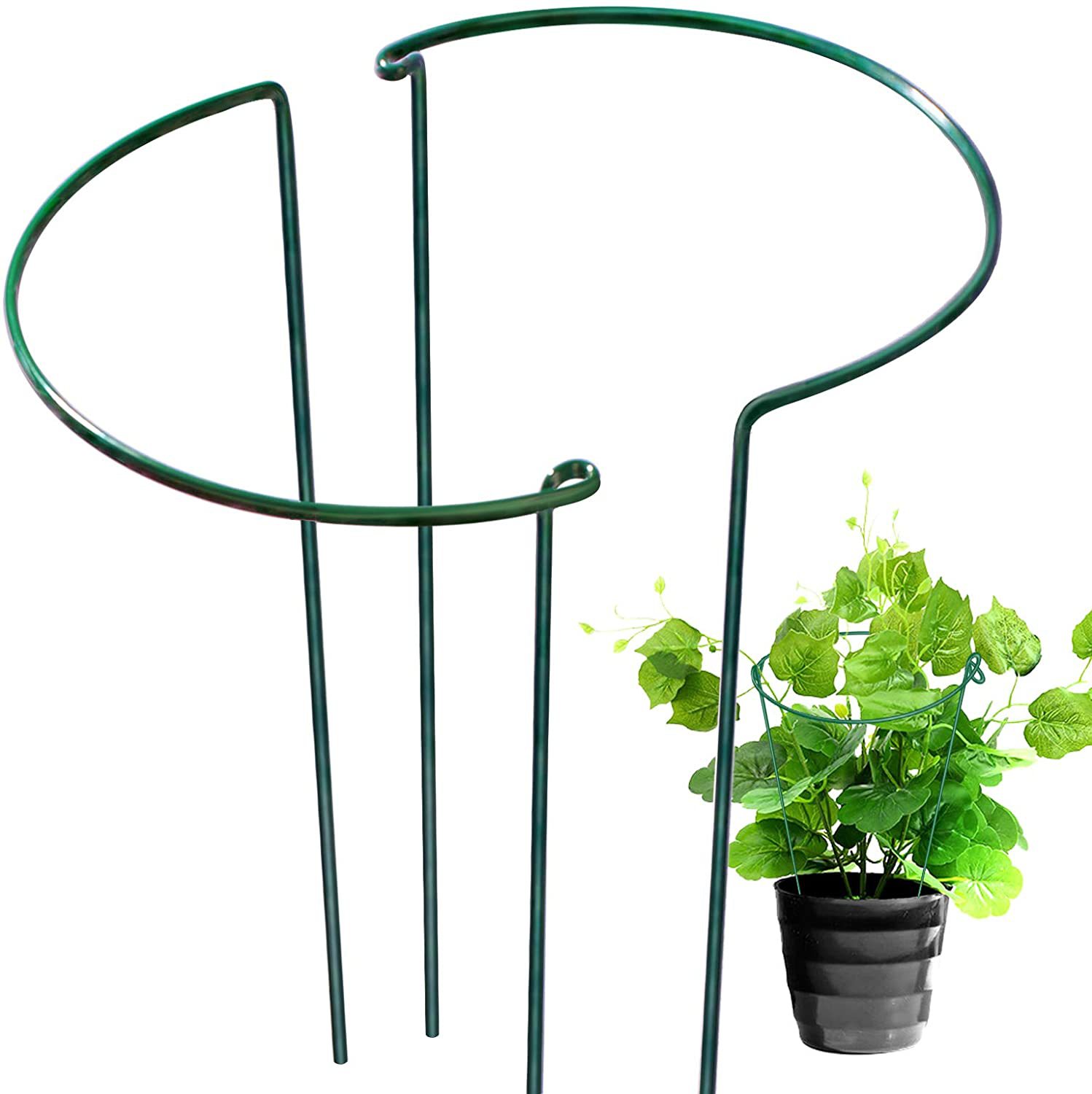 植物サポートステーク6本、半円形金属製ガーデンプラントステーク屋内牡丹ケージとサポート、グリーンプラントサポートRingBorder
