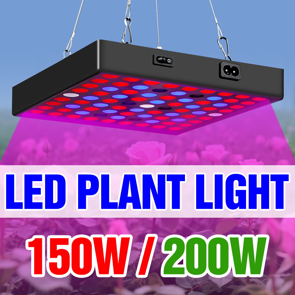 200 ワット LED フルスペクトル成長ライト 220V 量子ボード植物ランプ温室テント野菜花水耕栽培ライト