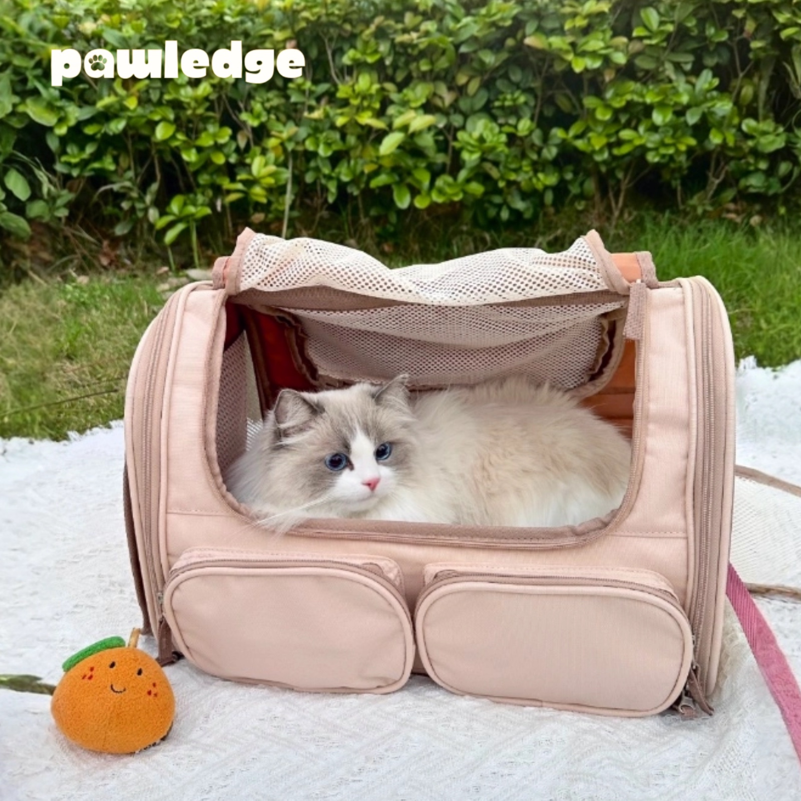 収納ポケット付き折りたたみ式ペットキャリーバッグ、猫や小型犬用の通気性メッシュショルダートラベルキャリア