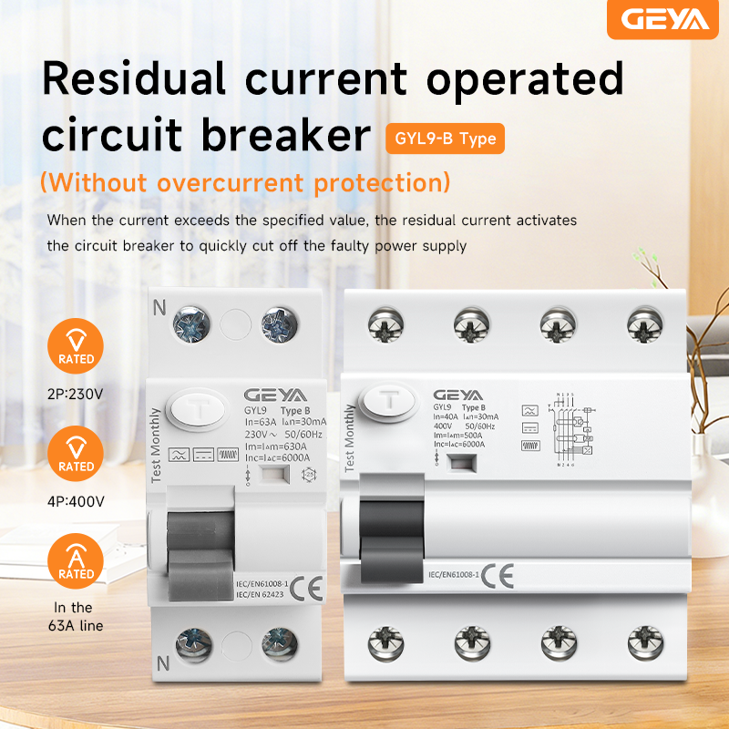 GEYA GYL9 タイプ B RCD RCCB Din レールアース漏れ電流ブレーカー DC 2 極 40A 63A 30mA 100mA 300mA 6KA 直流電流 (6mA)