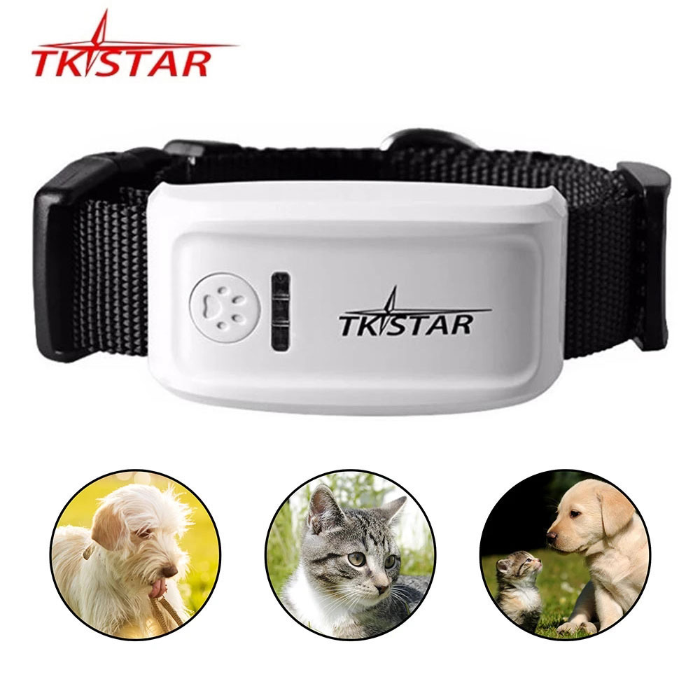 TK909 ペット GPS トラッカー 2 グラム犬猫 GPRS 首輪ロケーター防水ジオフェンス Google マップリモートコントロール追跡デバイス無料 Web アプリ