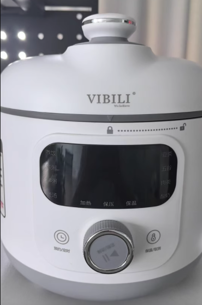 110 V/220 V 電気圧力鍋多機能家庭用米国日本カナダ輸出 AC
