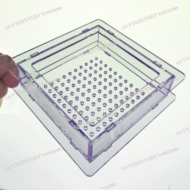 100ホールキャビアメーカー |分子ガストロノミー球形化ツール |スプーン付き魚卵箱