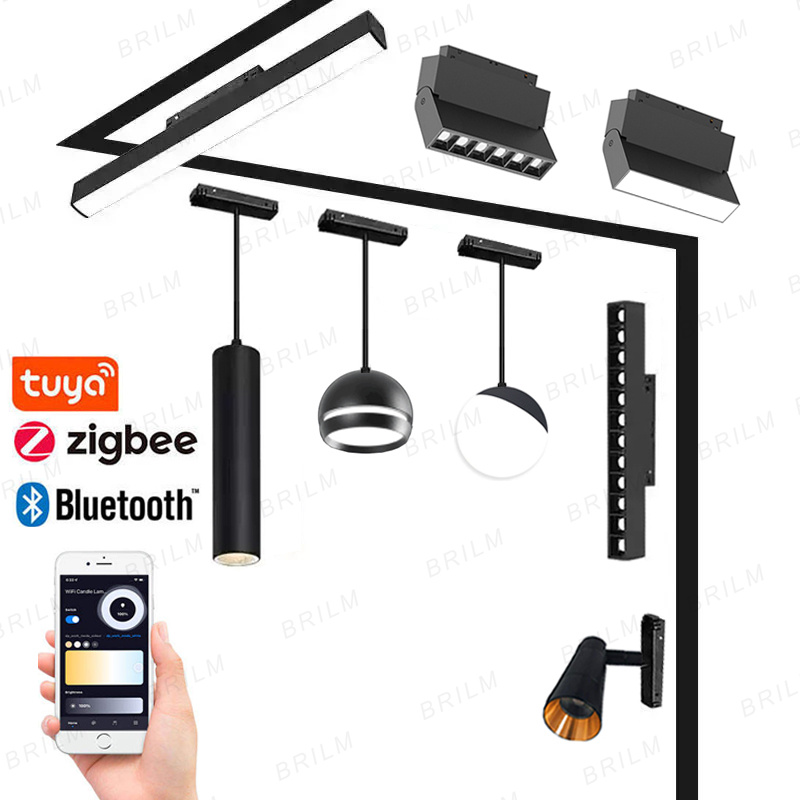 スマート磁気トラックライト Tuya Zigbee Bluetooth DC48V LED ダウンライトスポットフラッドグリルランプ Mordern ホーム リビング ルーム ブラック