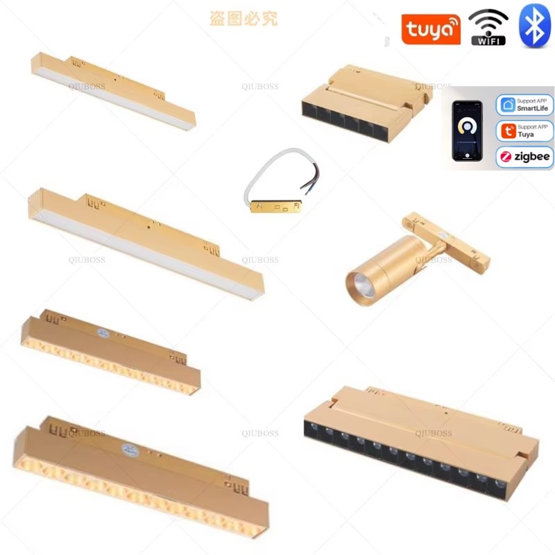 タイプ 20 LEDGold トラックライトフレームレス埋め込みスポットライト表面実装リビングルームホームライトホテルヴィラ磁気ランプ