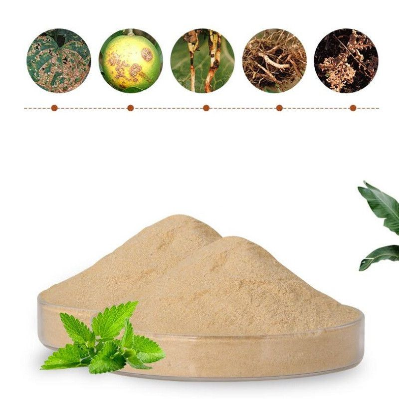 土壌病害予防効果のある枯草菌 1kg