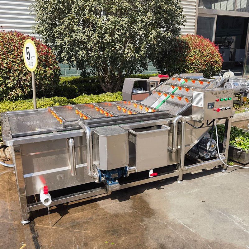 メーカー気泡オゾン果物と野菜のサラダ洗浄機柑橘類の洗濯機販売のためのナツメ洗浄ライン