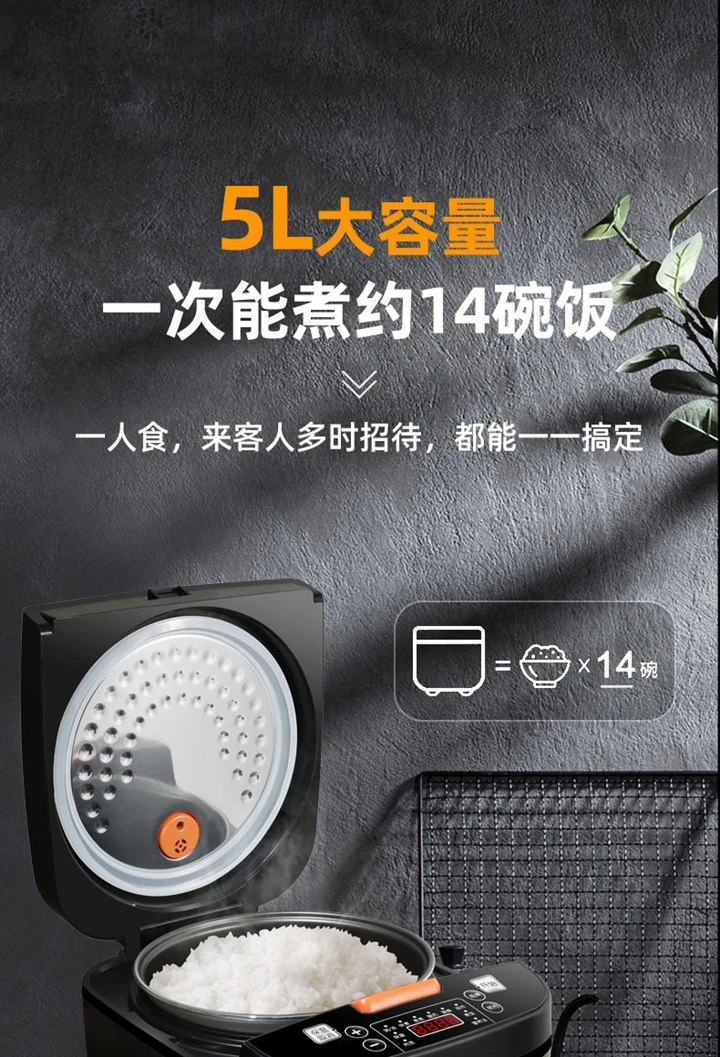 110V/220V 電気炊飯器 圧力鍋 大容量 高速調理 安全で省エネ AE