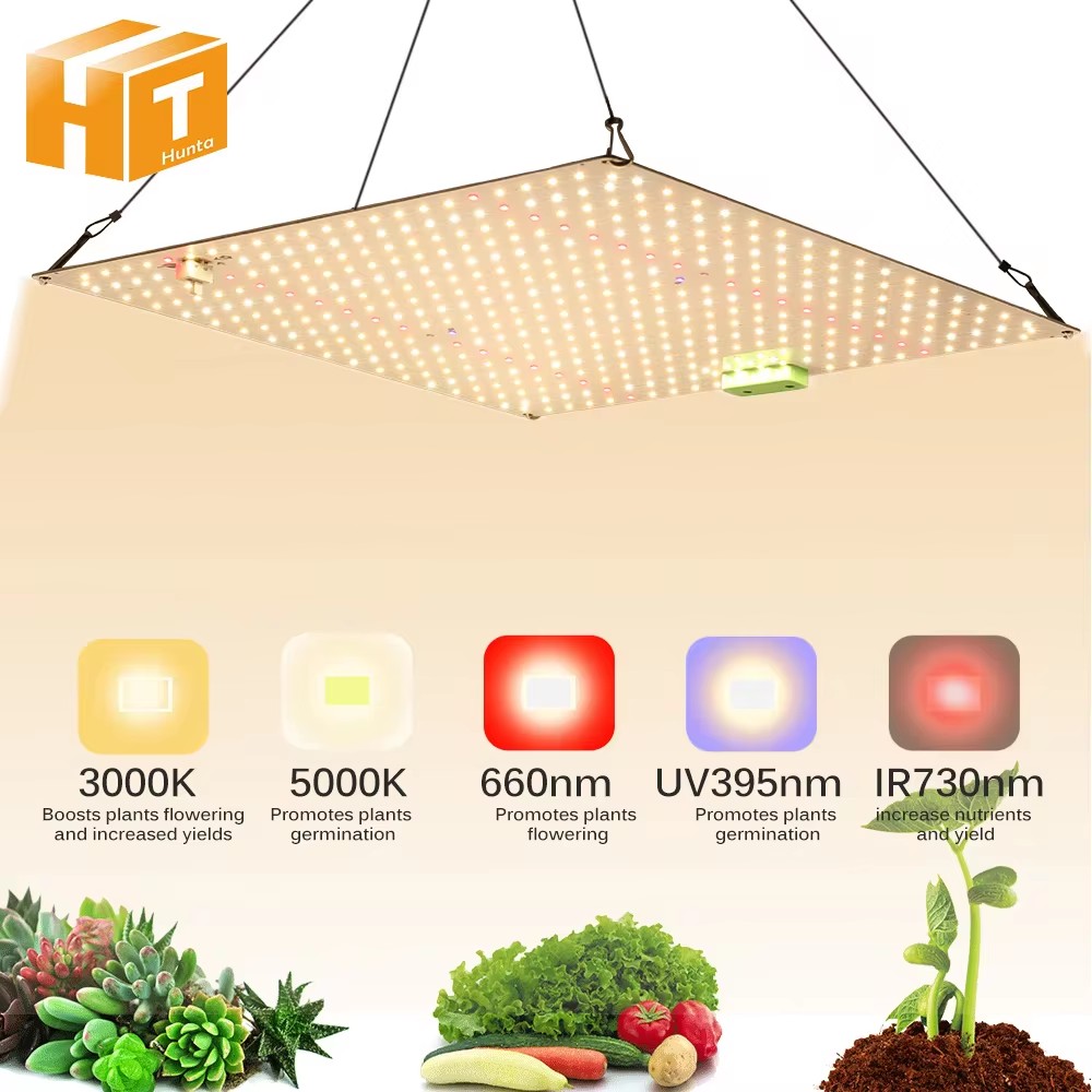 フルスペクトル LED 成長ライト高 PPFD サンライク量子成長ランプ LM281B 屋内植物成長照明用