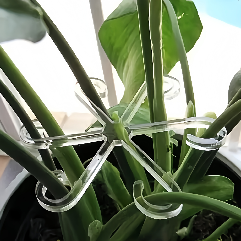 植物固定クリッププラスチッククライミングサポートフレーム調節可能な花茎収集フレーム野菜果樹園庭中庭