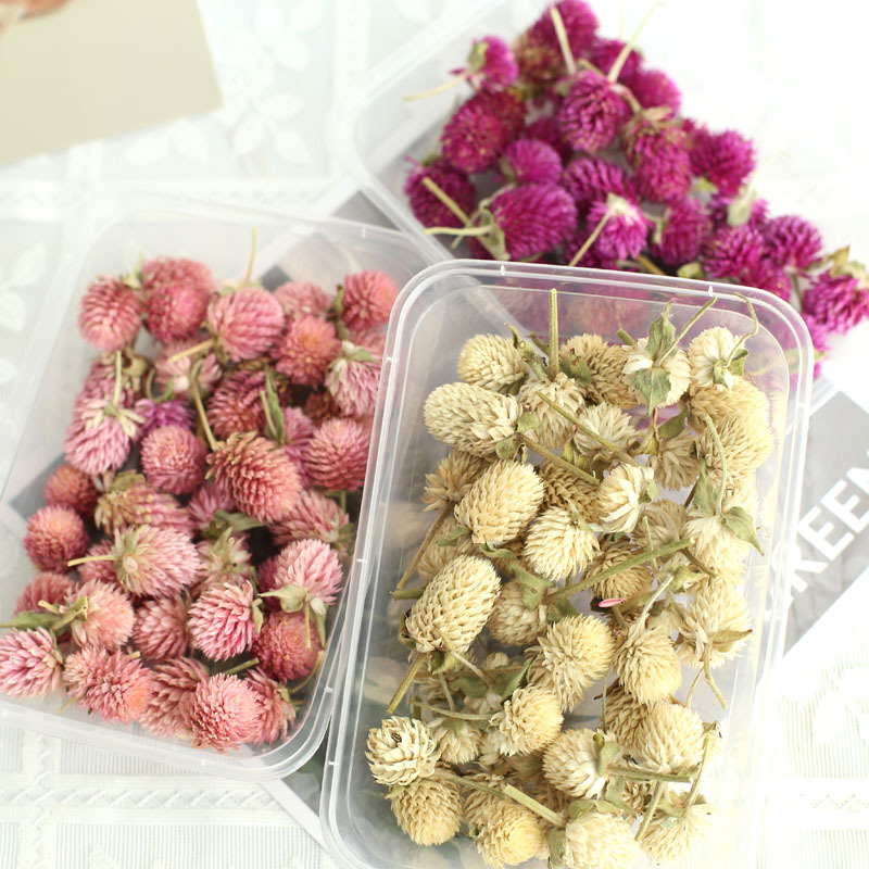 30 グラム乾燥ゴンフレナ グロボーサ DIY 香りキャンドルワックススライス本物の花材装飾ミックスフローティング花材家の装飾