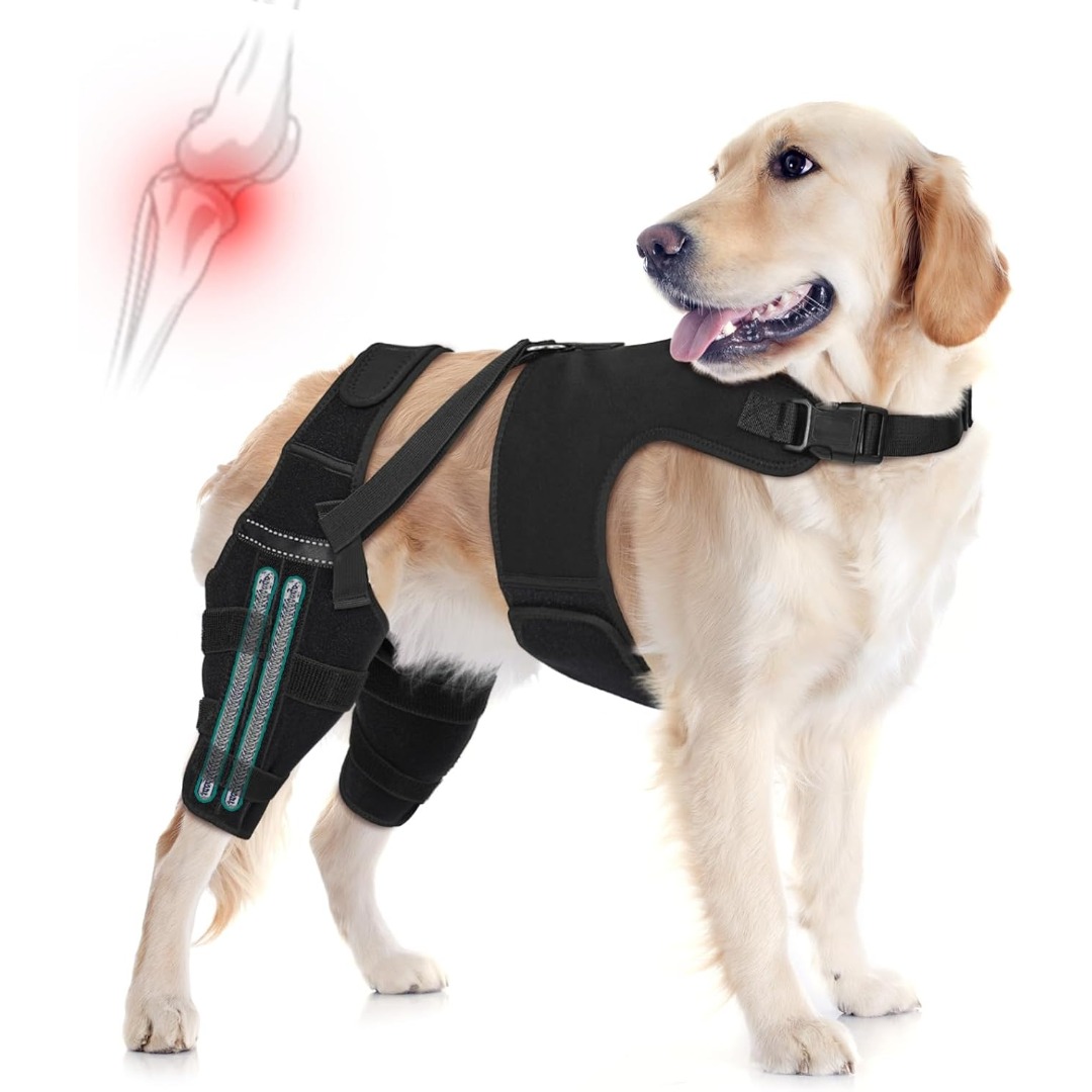 ACL後肢断裂用の犬用膝ブレース、子犬の足用ブレースは、CCL断裂、膝蓋骨脱臼、靱帯、股関節形成不全による痛みを軽減します。
