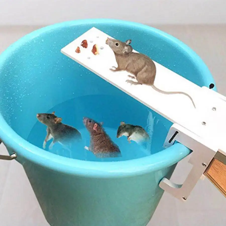 DIY マウストラップマウスマウス齧歯動物トラップシーソー自動リセット餌キャッチャー家庭菜園害虫コントローララットトラップクイックキルシーソー
