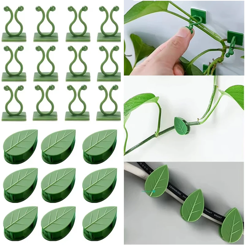 植物つる牽引ホルダー目に見えない植物クライミング壁固定具クリップ自己粘着フック屋内屋外ねじれまたは固定