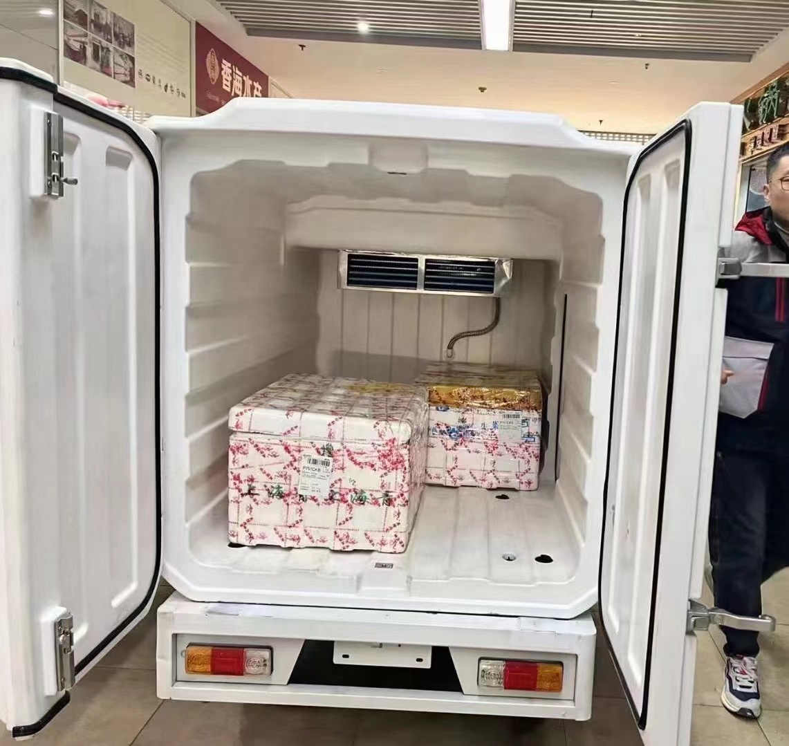 ミニモバイル DC 冷凍庫 220V エンジン車両冷蔵庫農場食料品店用