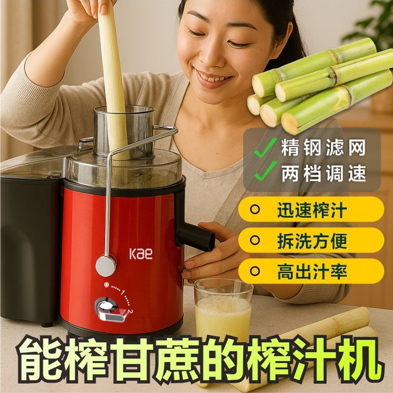 ハイパワー 500 ワットサトウキビ特別アップグレードジューサージュースオレンジジュース果物と野菜実用的なプラグイン大口径搾りかす