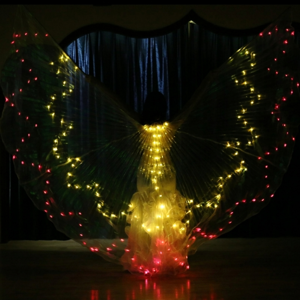LED ダンスウェア蝶の羽光るカラフルな照明マント大人のステージパフォーマンスフェスティバルパーティーカーニバルドレス