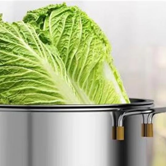 ステンレス鋼電気鶏アヒルガチョウ繁殖グリーン飼料グラインダー野菜シュレッダー機