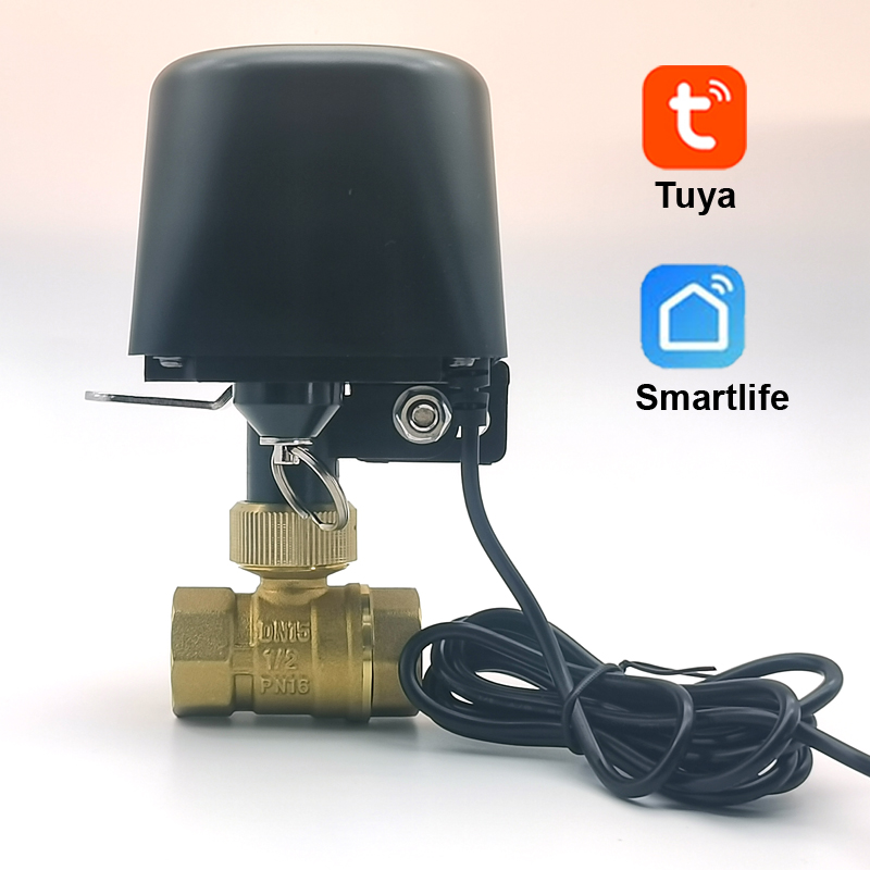 Tuya Zigbee WIFI スマートウォーターバルブ DN15 DN20 DN25 ホームオートメーション制御蛇口タイマーサポート Alexa Google アシスタント SmartLife
