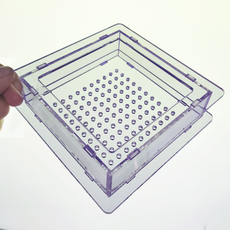 分子ガストロノミー キャビアメーカー 100 穴球状化キット 料理用球体用の魚卵ボックス付き