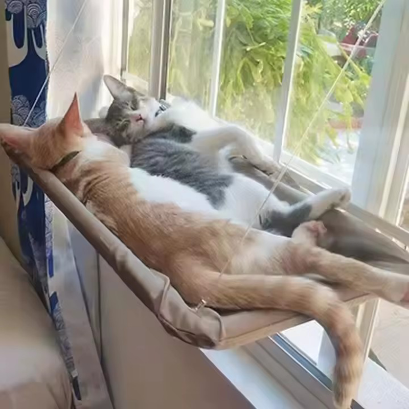 冬猫窓吊りハンモックベッド吸盤省スペースオールシーズン簡単インストールペットベッド猫クライミングフレーム