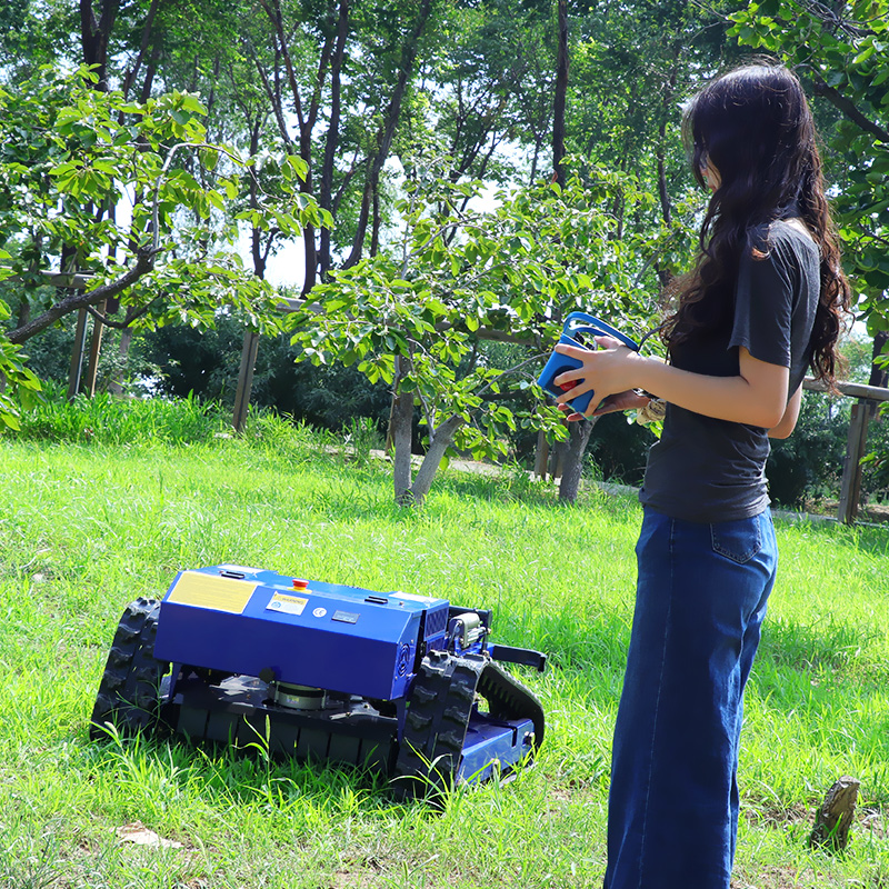 カスタマイズされた550mm 4ストローク自走式リモコン芝刈り機、庭の芝生に適した屋外メンテナンスロボット