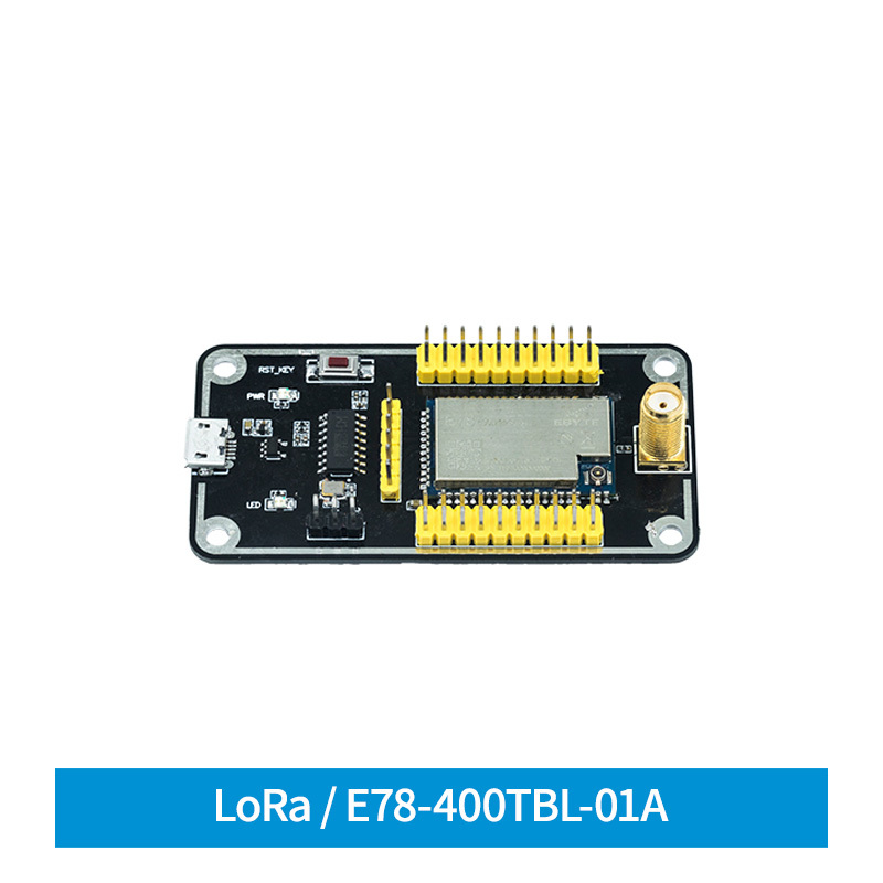 E78-400TBL-01A E78 シリーズモジュールテストボード ASR6505 USB テストキット Soc USB to TTL LoRaWan lora モジュール 433mhz