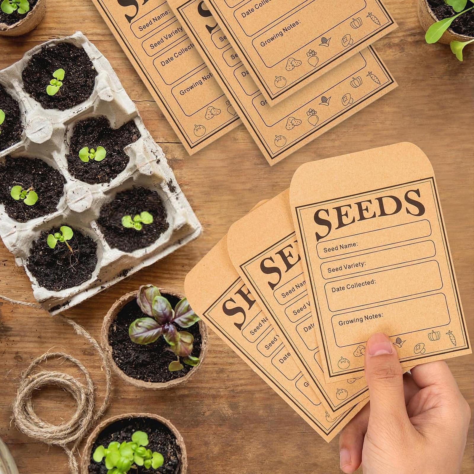 Pack of 50 Mini Self- Envelopes for Storing And Collecting Seeds