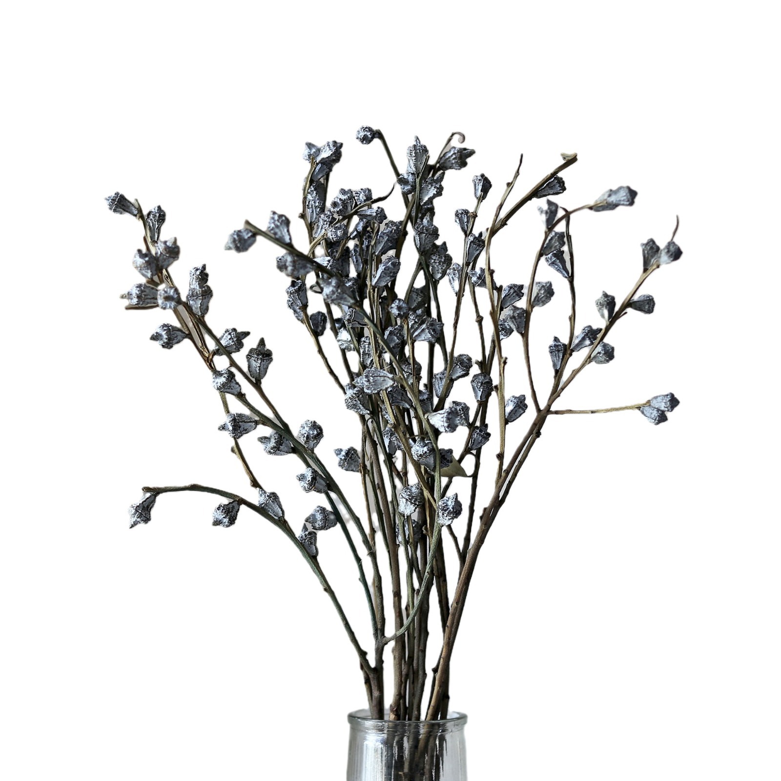 120g Plant Dry Eucalyptus Fruit Bouquet Wholesale Wreaths Natural Decorative Flowers Wedding Dried Eucalyptus Berry with Stem